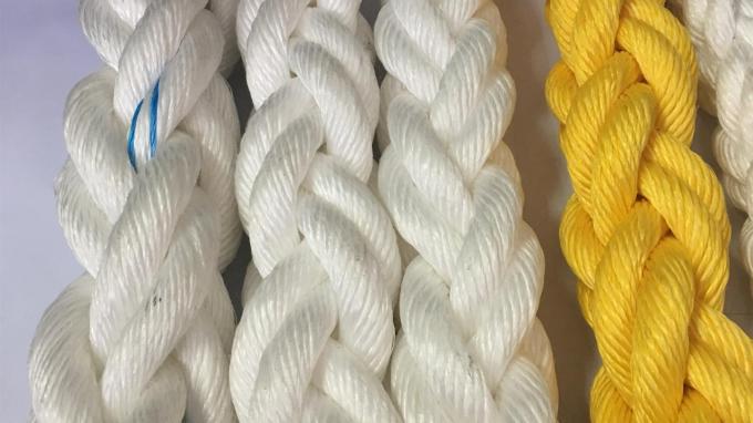 Multicolor Plastic Climbing Grips For Children Playground Climbing Wall 7