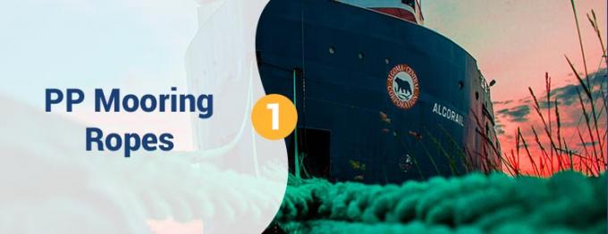 Wholesale 220 M White High Strength PP Polypropylene 8 Strand 68 Mm Mooring Rope For Towing 0