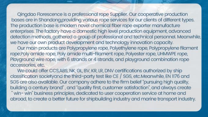 High Strength 3 Strand Twisted 4mm-60mm Nylon Fiber Sailing Rope Polyamide Rope Nylon Marine Mooring Rope 4