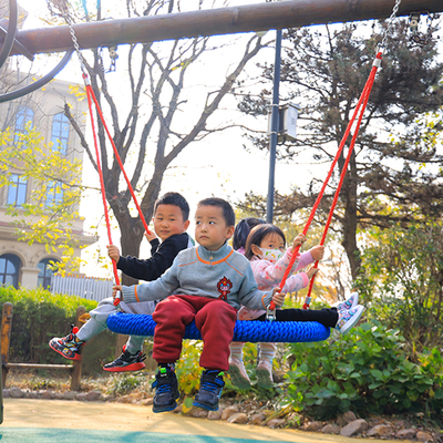 Customized Color 100 120cm Swing Nest Bird Nest Swing With Hanging Ropes